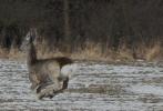 Přírodopisná fotografická soutěž II. ročník