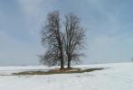 Přírodopis - vyhlášení III. ročníku fotografické soutěže